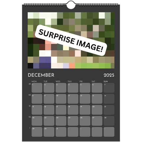 OUTSIDE USA & CANADA DELIVERY - SPIKE 2025 CALENDAR *URGENT FUNDRAISER*