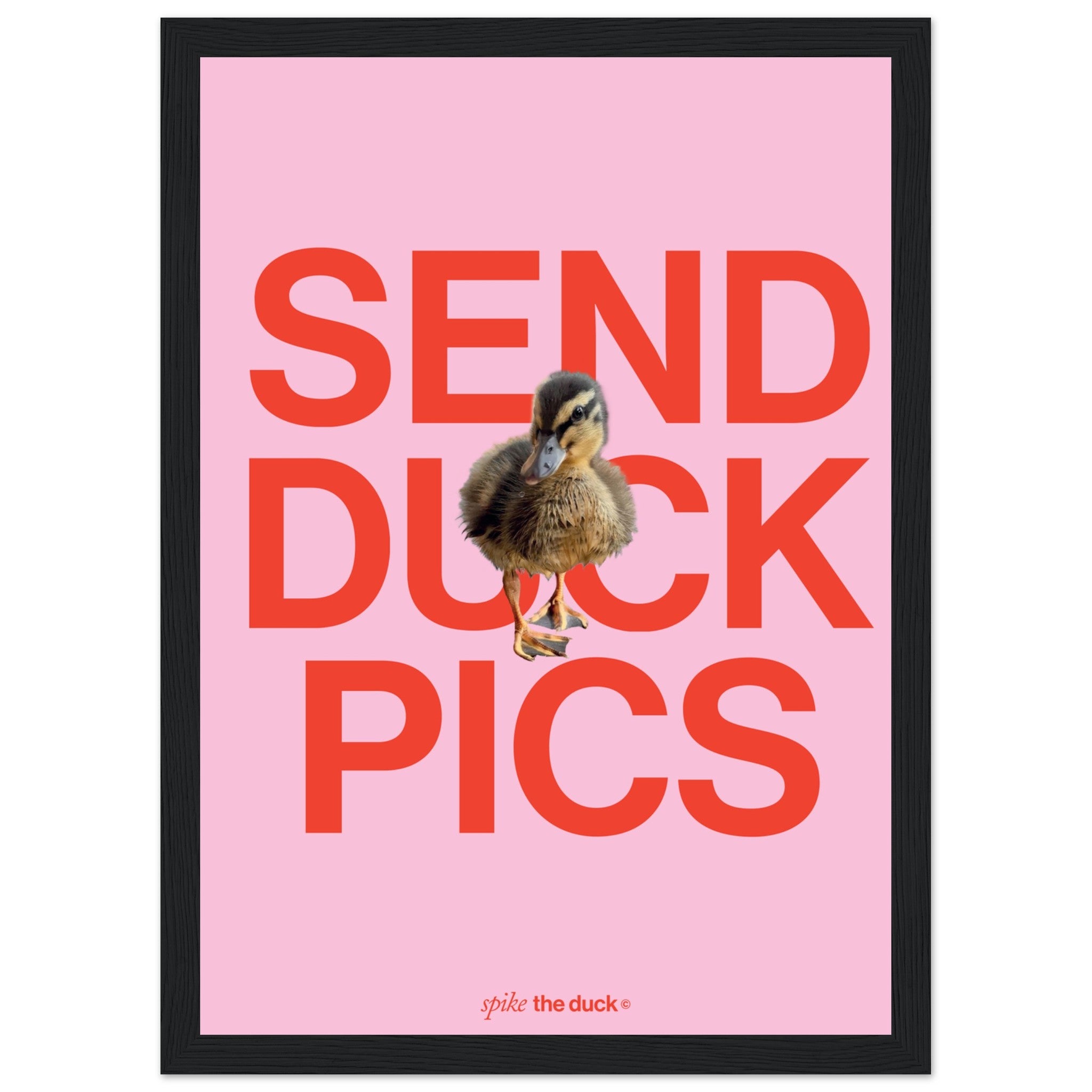 Duck Tails - Premium retailer Matte Paper Wooden Framed Poster